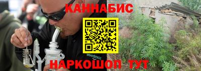 гидра Новозыбков